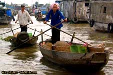 Mekong Delta Virtual Tour