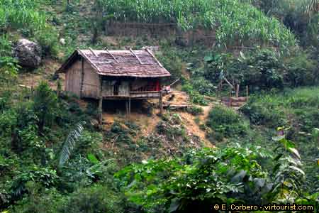 Northeast Vietnam, house in the forest