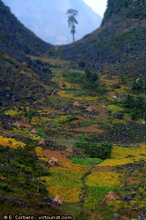 Northeast Vietnam, Luong Hoa