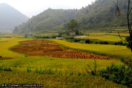 37.- Northeast Vietnam, agriculture