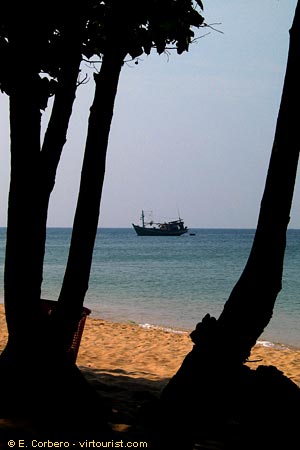 37.- Phu Quoc, Long Beach, trees