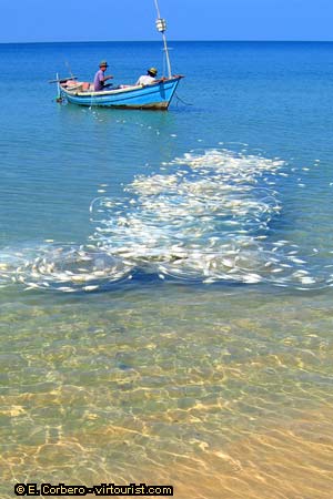 44.- Phu Quoc, Long Beach, nets