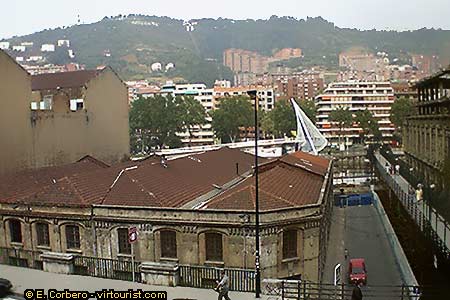 21/30.- Bilbao, "Pasarela Zubizuri"