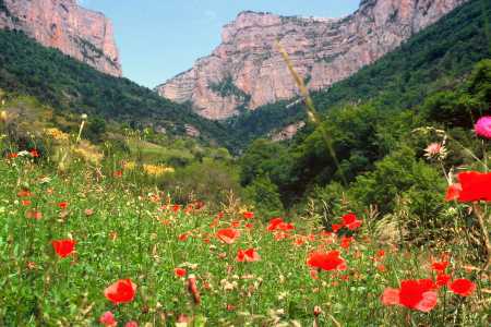44/45.- Provence Alps