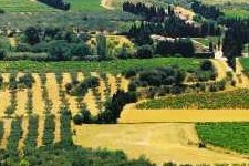 Provence Photo Tour