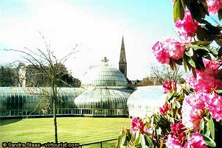 Glasgow, Kibble Palace 2