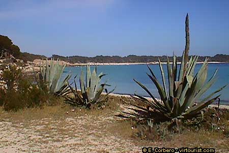  Mallorca, Es Trenc Beach