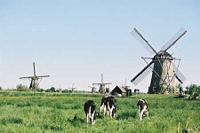 Belgium Tourist Guide