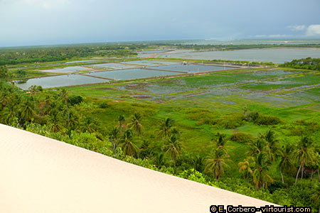 <a href='index.html'>Canoa Quebrada</a>, <a href='../../country/brazil.htm'>Brazil</a>