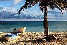 Cozumel Photographic Tour