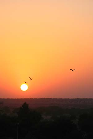 <a href='index.html'>Jaisalmer</a>, <a href='../index.html'>India</a>