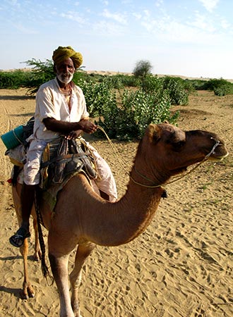 <a href='index.html'>Jaisalmer</a>, <a href='../index.html'>India</a>