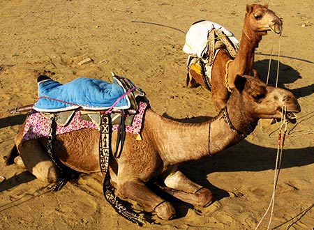 <a href='index.html'>Jaisalmer</a>, <a href='../index.html'>India</a>