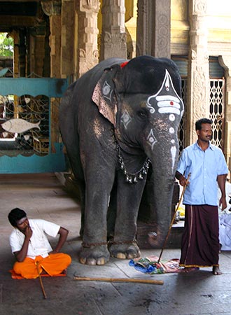 <a href='index.html'>Madurai</a>, <a href='../index.html'>India</a>
