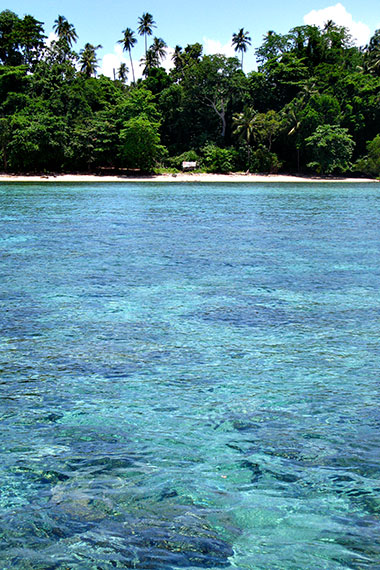 <a href='index.html'>Bunaken Island</a>, <a href='../index.html'>Indonesia</a>