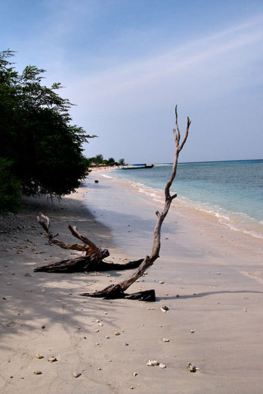 <a href='index.html'>Gili Islands</a>, <a href='../index.html'>Indonesia</a>