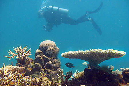 <a href='index.html'>Kota Kinabalu</a>, <a href='../index.html'>Malaysia</a>