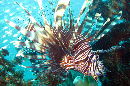 <a href='index.html'>Kota Kinabalu</a>, <a href='../index.html'>Malaysia</a>