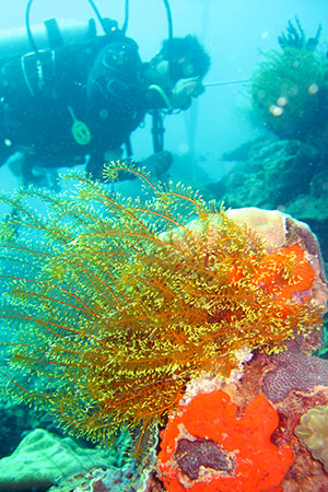 <a href='index.html'>Kota Kinabalu</a>, <a href='../index.html'>Malaysia</a>