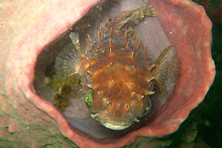 <a href='index.html'>Kota Kinabalu</a>, <a href='../index.html'>Malaysia</a>
