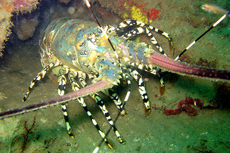 <a href='index.html'>Kota Kinabalu</a>, <a href='../index.html'>Malaysia</a>
