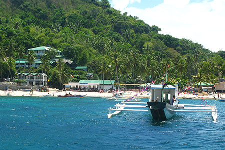 <a href='index.html'>Apo Island</a>, <a href='../index.html'>Philippines</a>