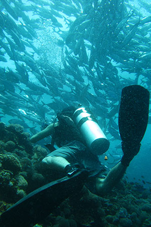 <a href='index.html'>Bohol</a>, <a href='../index.html'>Philippines</a>