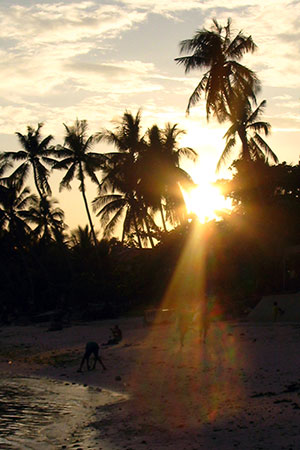<a href='index.html'>Bohol</a>, <a href='../index.html'>Philippines</a>