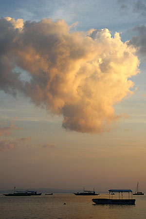 <a href='index.html'>Bohol</a>, <a href='../index.html'>Philippines</a>