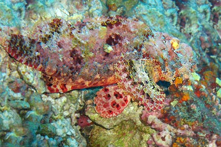 <a href='index.html'>El Nido</a>, <a href='../index.html'>Philippines</a>