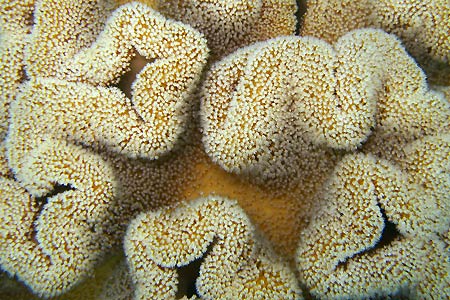 <a href='index.html'>El Nido</a>, <a href='../index.html'>Philippines</a>