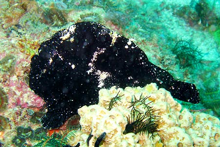 <a href='index.html'>El Nido</a>, <a href='../index.html'>Philippines</a>