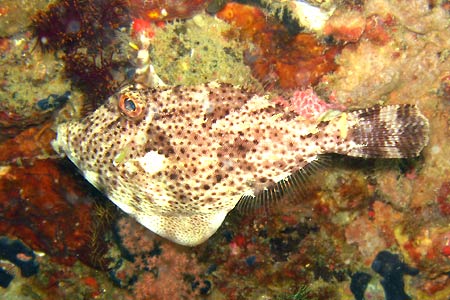 <a href='index.html'>El Nido</a>, <a href='../index.html'>Philippines</a>