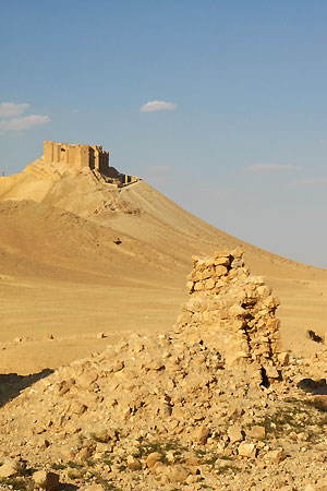 <a href='index.html'>Palmyra</a>, <a href='../index.html'>Syria</a>