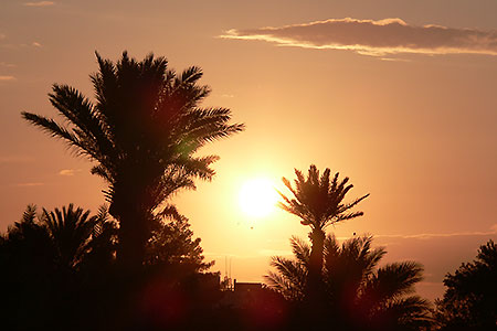 <a href='index.html'>Palmyra</a>, <a href='../index.html'>Syria</a>