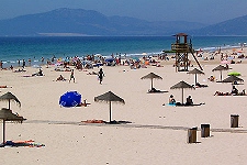 Tarifa Photographic Tour